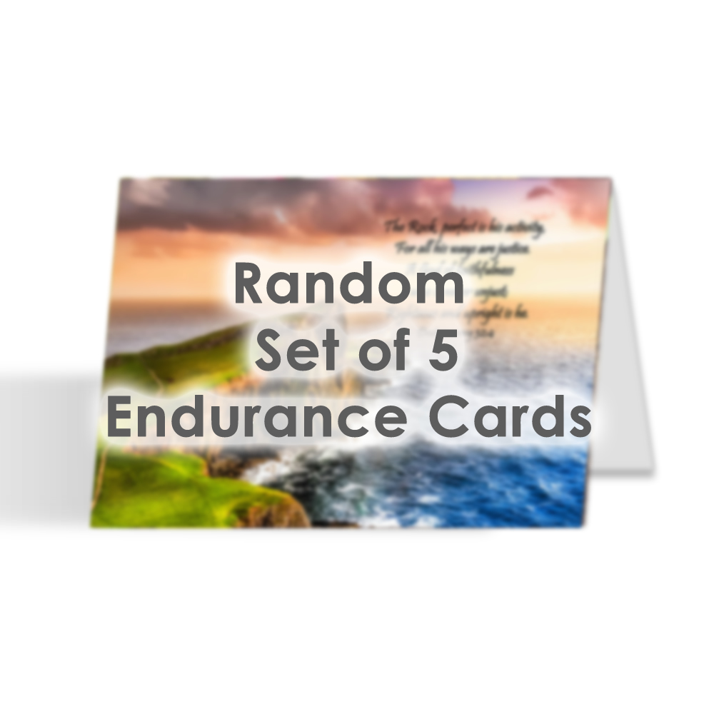 Card Set - Random Set of 5 Endurance Cards 