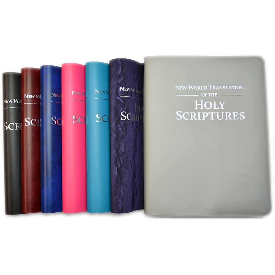 SECONDS Large 2013 Bible Coloured Vinyl Cover with Silver Embossing