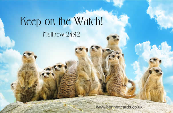 Fridge Magnet - Matthew 24:42 - Meerkats 