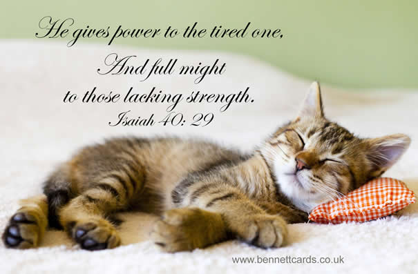 Fridge Magnet - Isaiah 40:29 - Kitten 