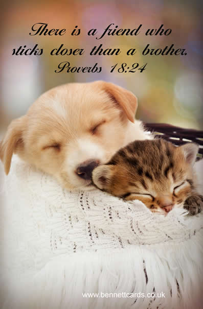 Fridge Magnet - Proverbs 18:24 - Puppy + Kitten 