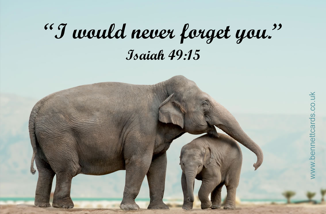 Fridge Magnet - Isaiah 49v15 - Elephants 