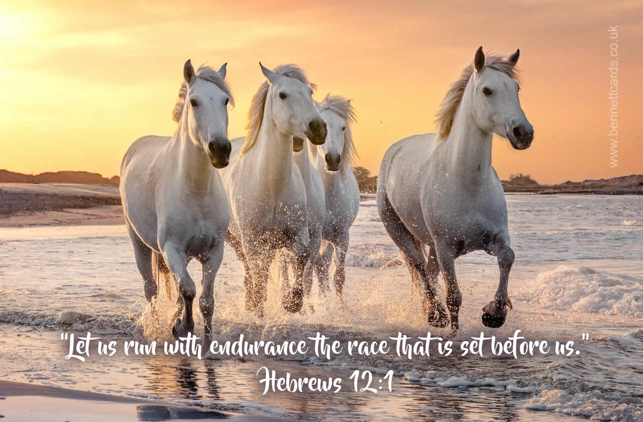 FRIDGE MAGNET - Run With Endurance- Hebrews 12v1 