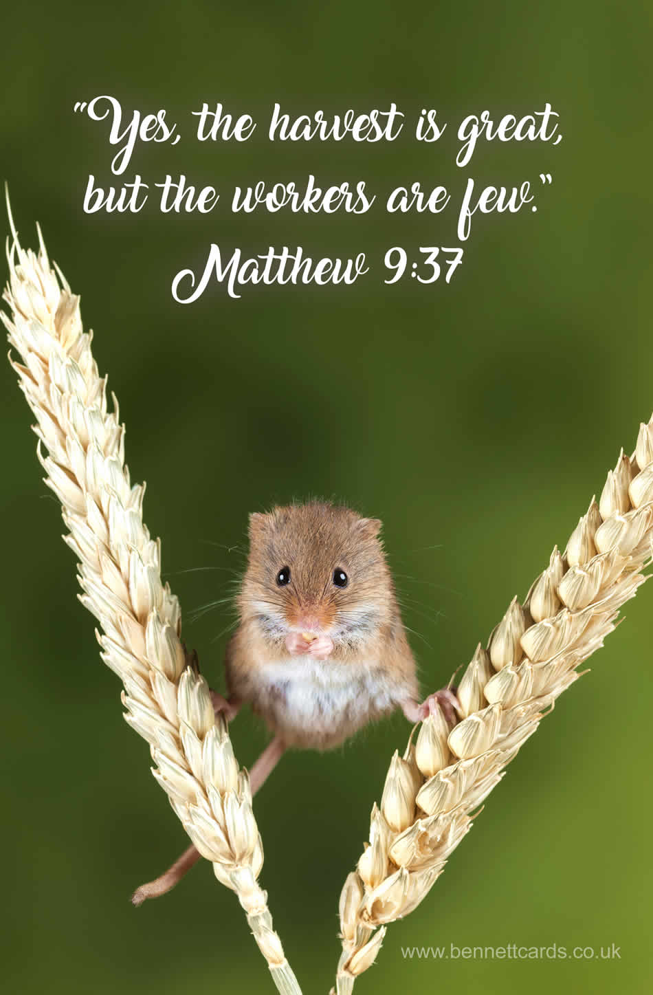 FRIDGE MAGNET - Mouse - Matthew 9:37 