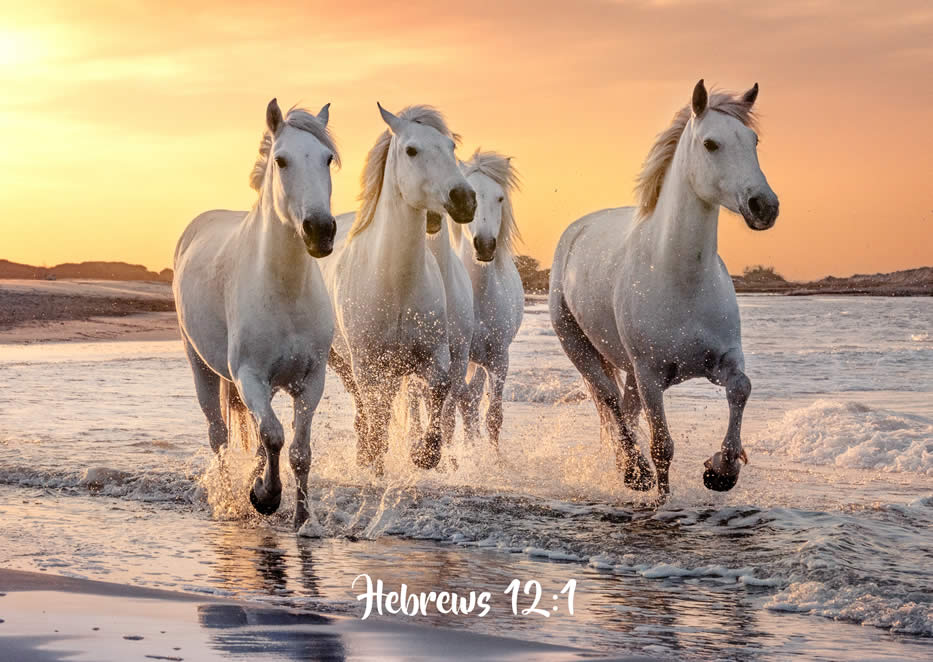 GREETINGS CARD - Endurance Hebrews 12:1 