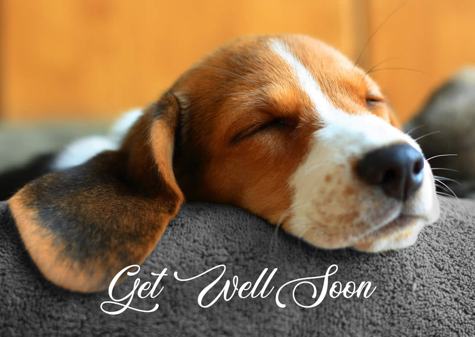 GREETINGS CARD - Get Well Soon 