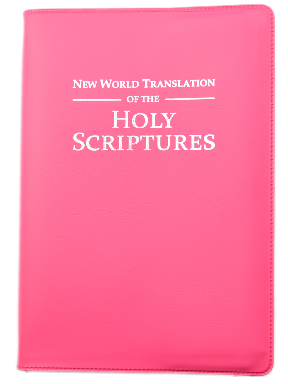 New 2013 Bible - Pink Vinyl Cover with Silver Embossing  - PINK / SILVER