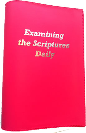 EXAMINING THE SCRIPTURES  - Pink (cerise)