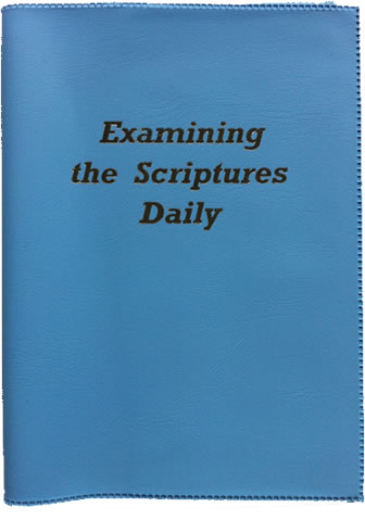 EXAMINING THE SCRIPTURES- SKY  - SKY BLUE